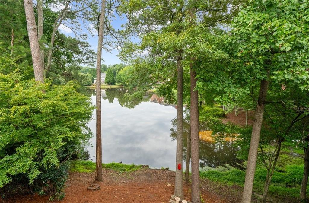 4556 Allen Park Path Property Photo 44