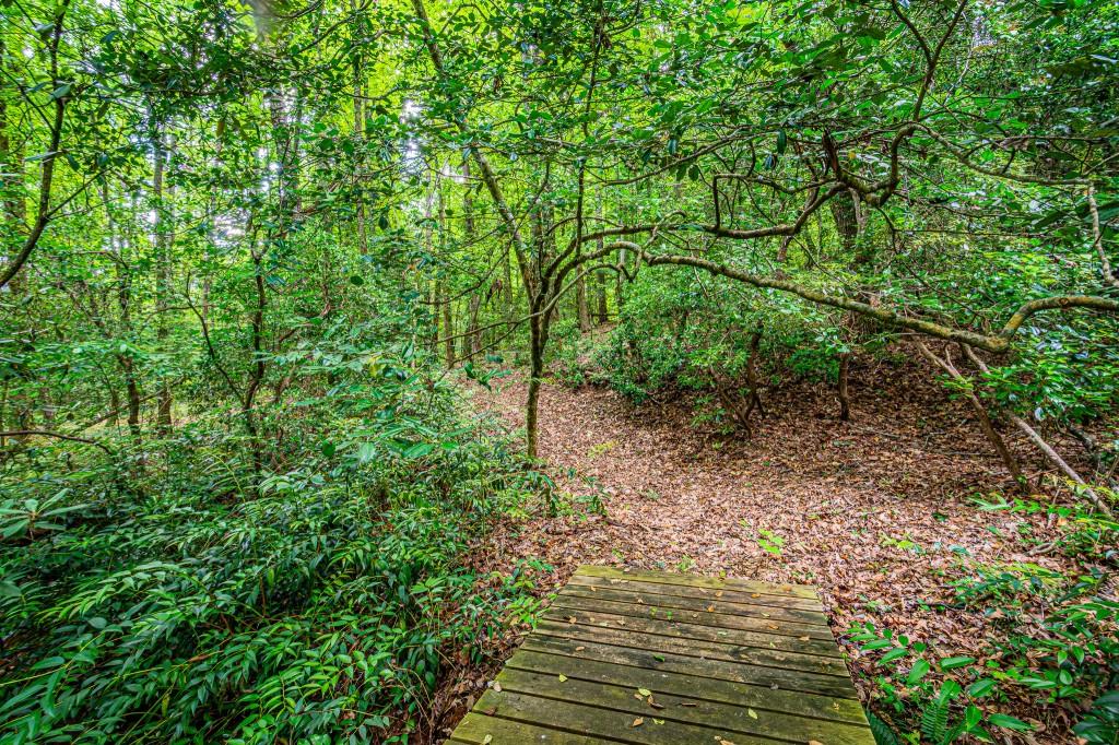 190 Still Road Property Photo 78
