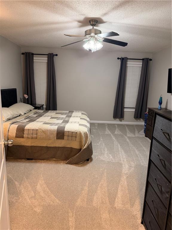 713 Moonlite Trace Property Photo 34