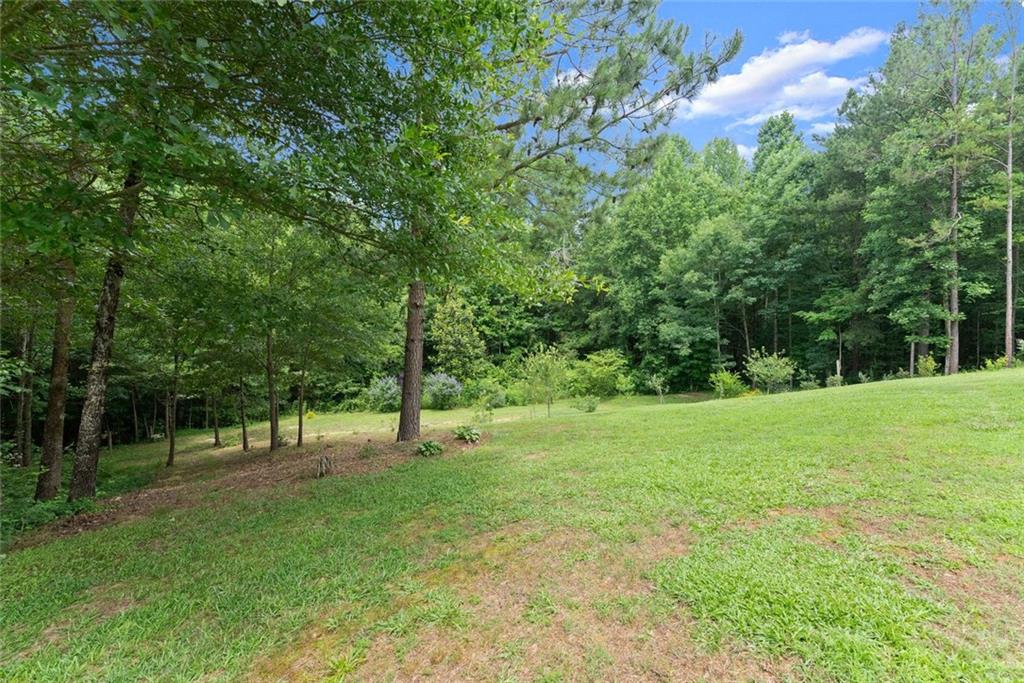 1020 Easy Street Property Photo 39