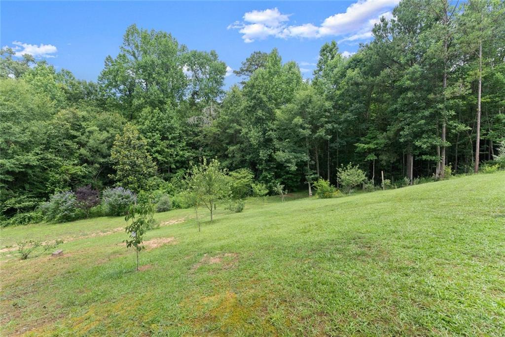 1020 Easy Street Property Photo 40