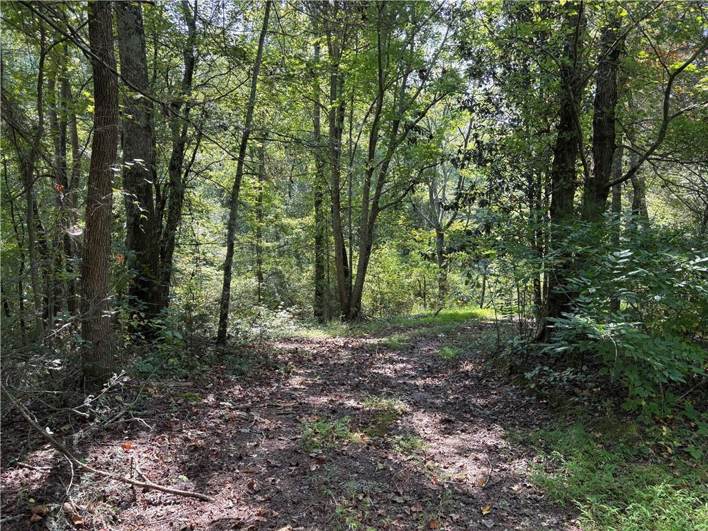 6485 Forsyth Drive