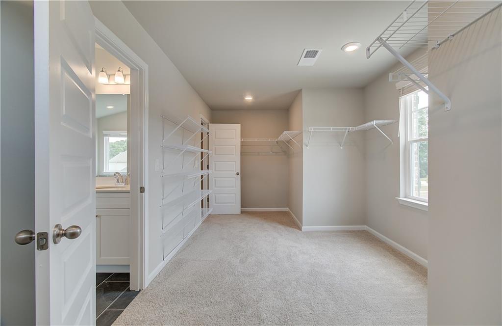 1146 Bodega Loop Property Photo 26