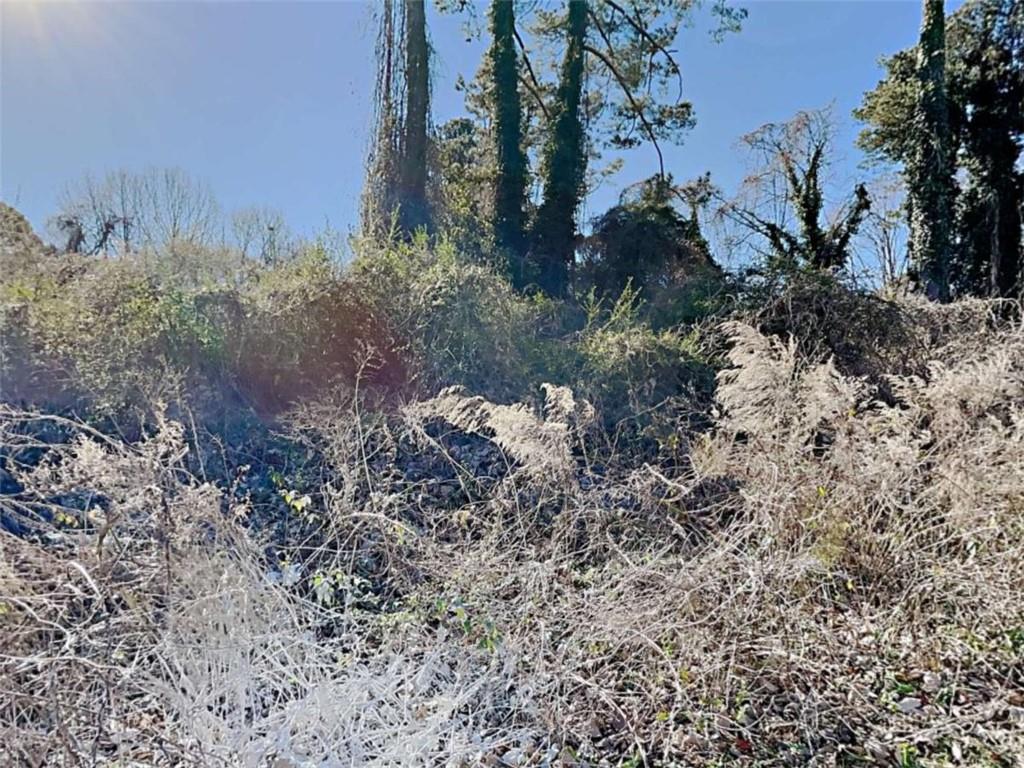 1166 Brookstone Road Property Photo 25