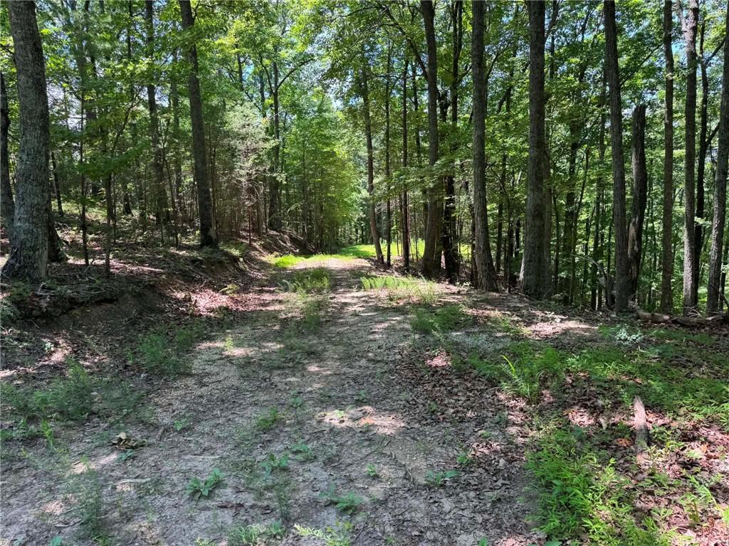 1450 Hanna Drive Property Photo 1