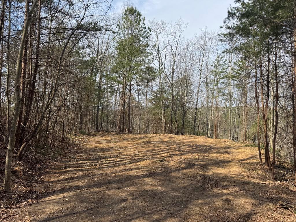 1450 Hanna Drive Property Photo 6