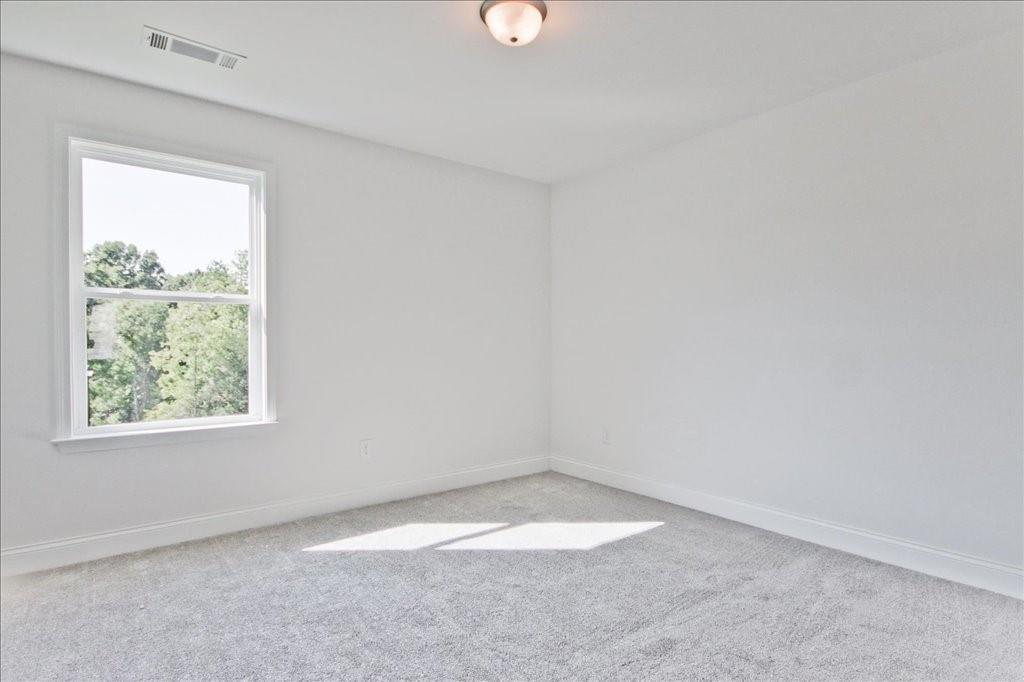 5956 Spring Way Property Photo 29