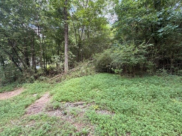 280 Nixon Road Property Photo 1