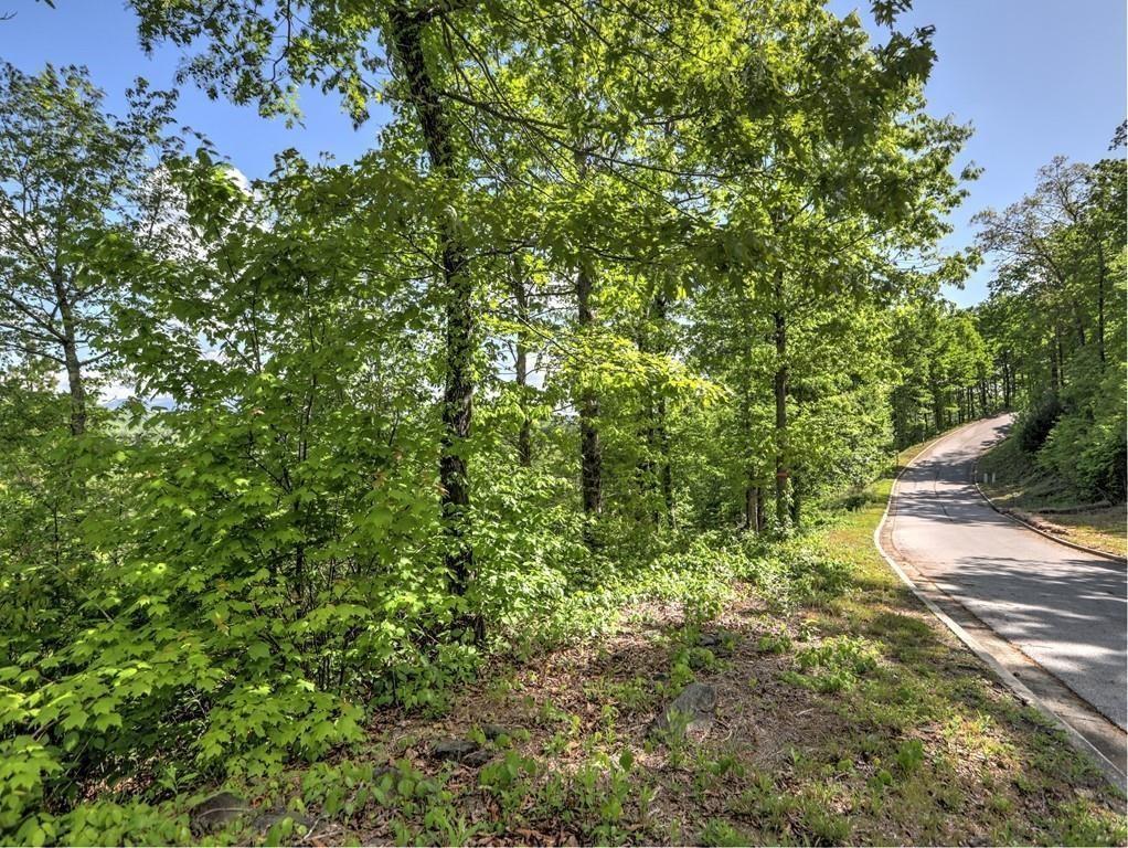 0 Bent Grass Way Property Photo 8