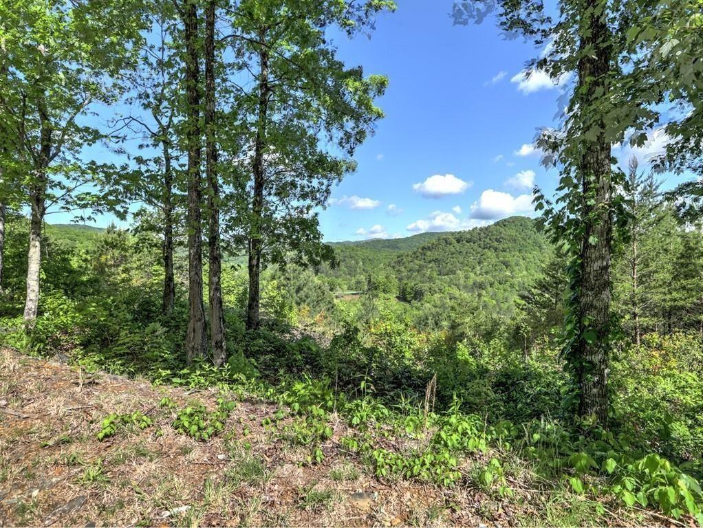 0 Bent Grass Way Property Photo 9
