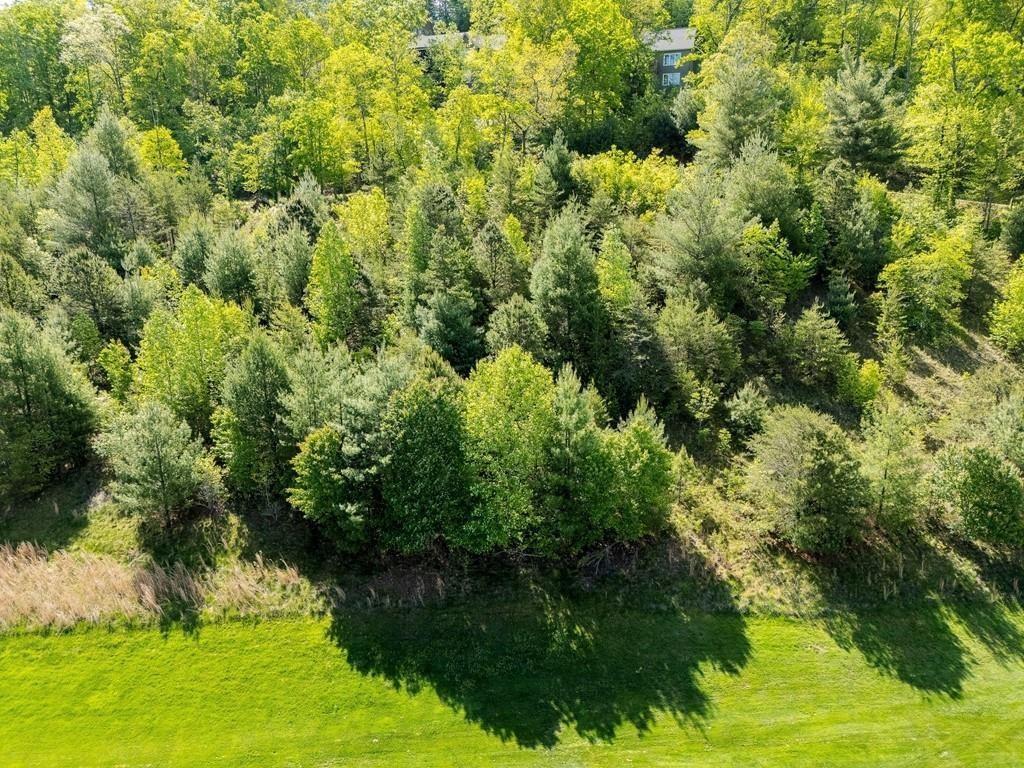 0 Bent Grass Way Property Photo 14