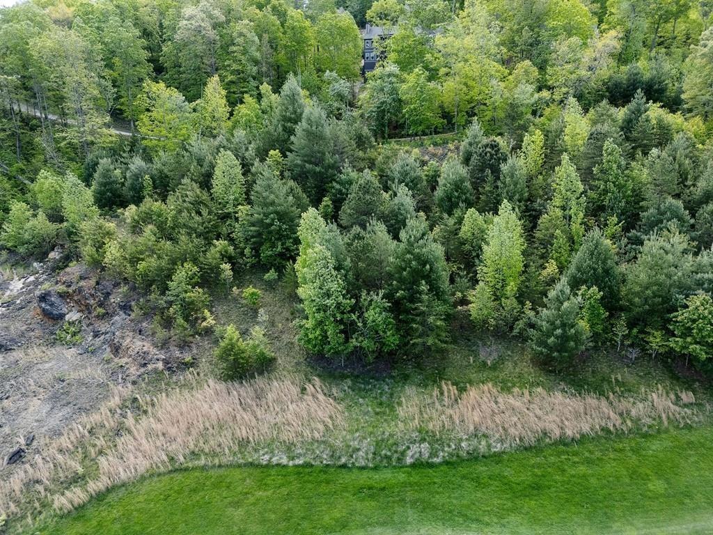 0 Bent Grass Way Property Photo 15