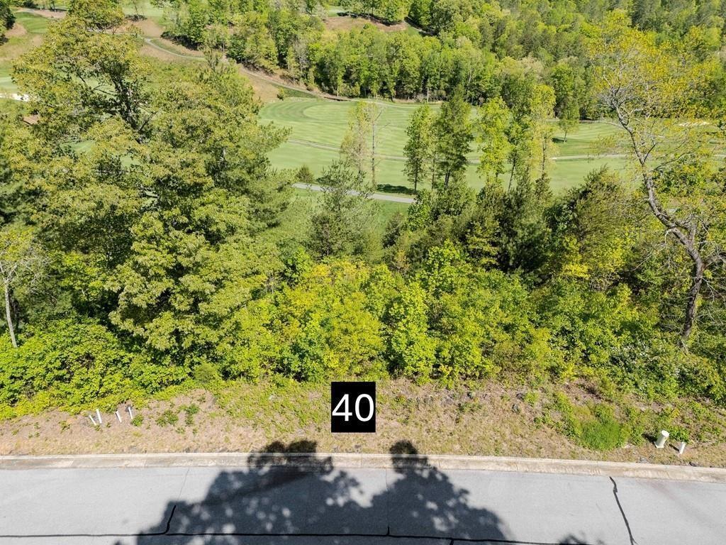 0 Bent Grass Way Property Photo 16