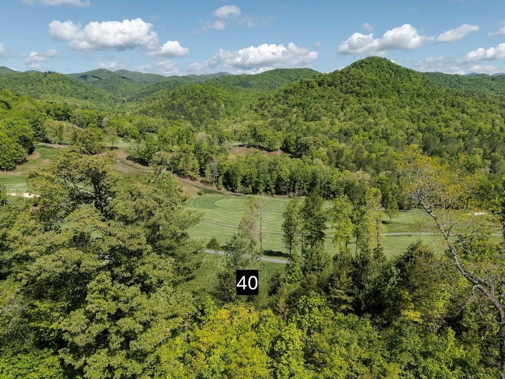 0 Bent Grass Way Property Photo 17
