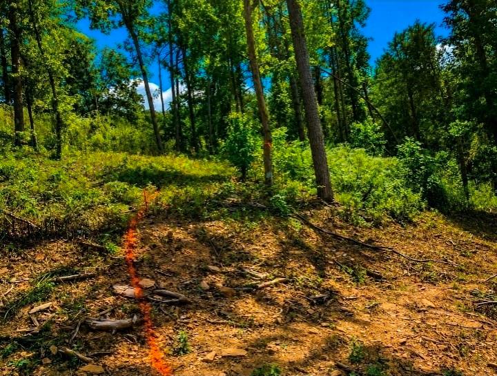 0 Dell Moore, Lot 3 Road