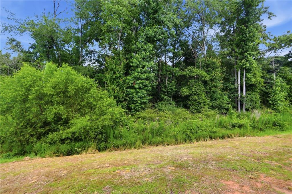 115 Culver Street Property Photo 35