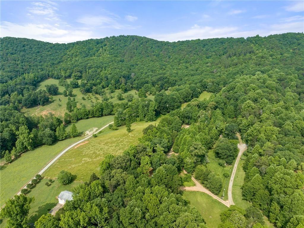 00 Freeman View Trail Property Photo 1