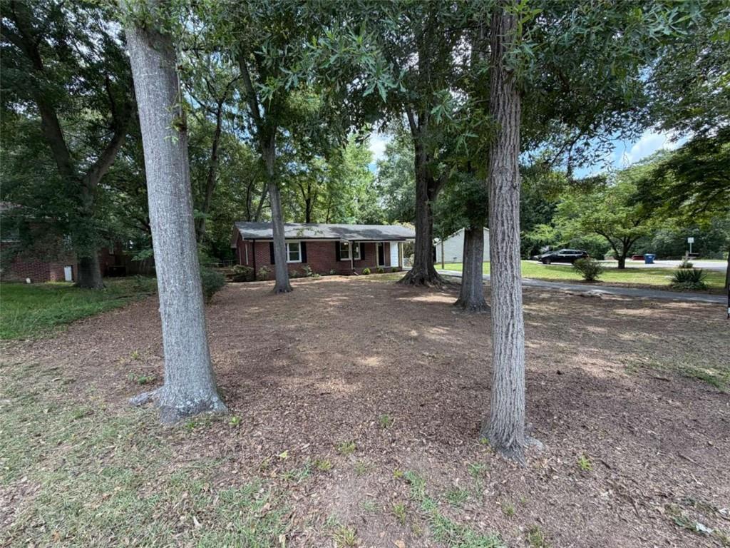135 Martha Street Property Photo 8