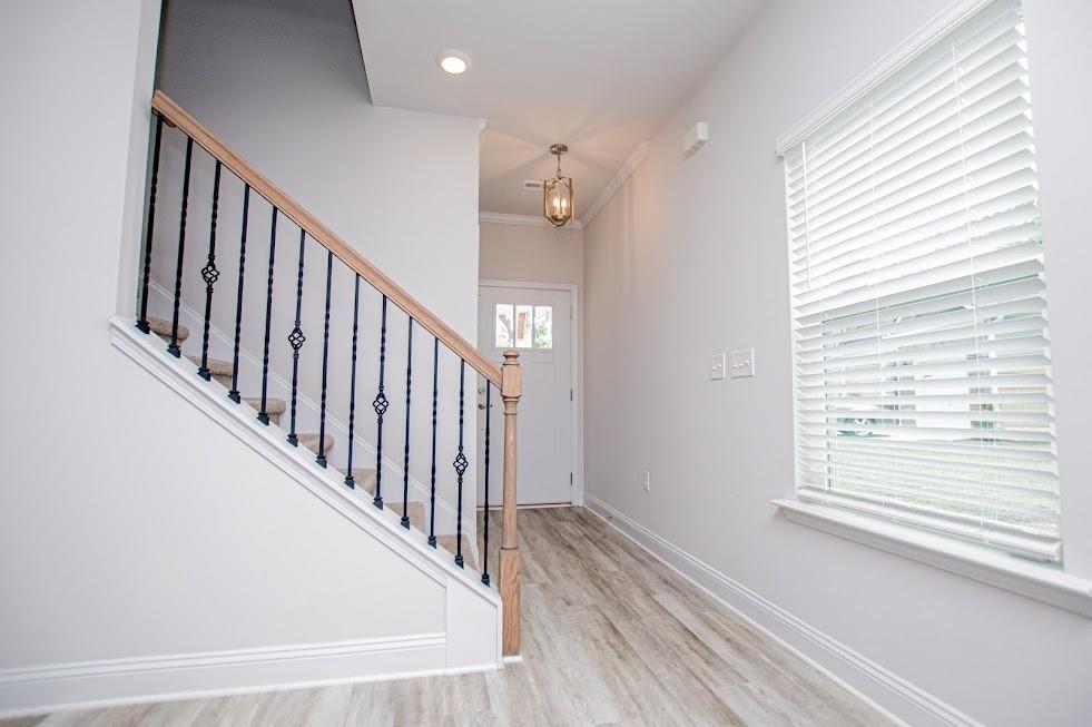 205 Vineyard Walk Property Photo 8