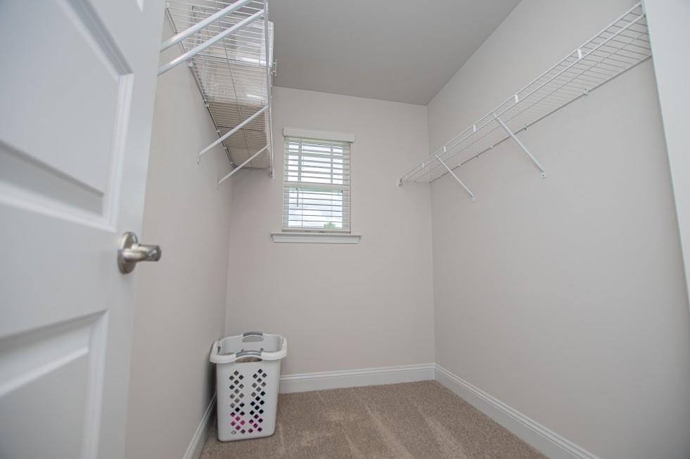 205 Vineyard Walk Property Photo 34