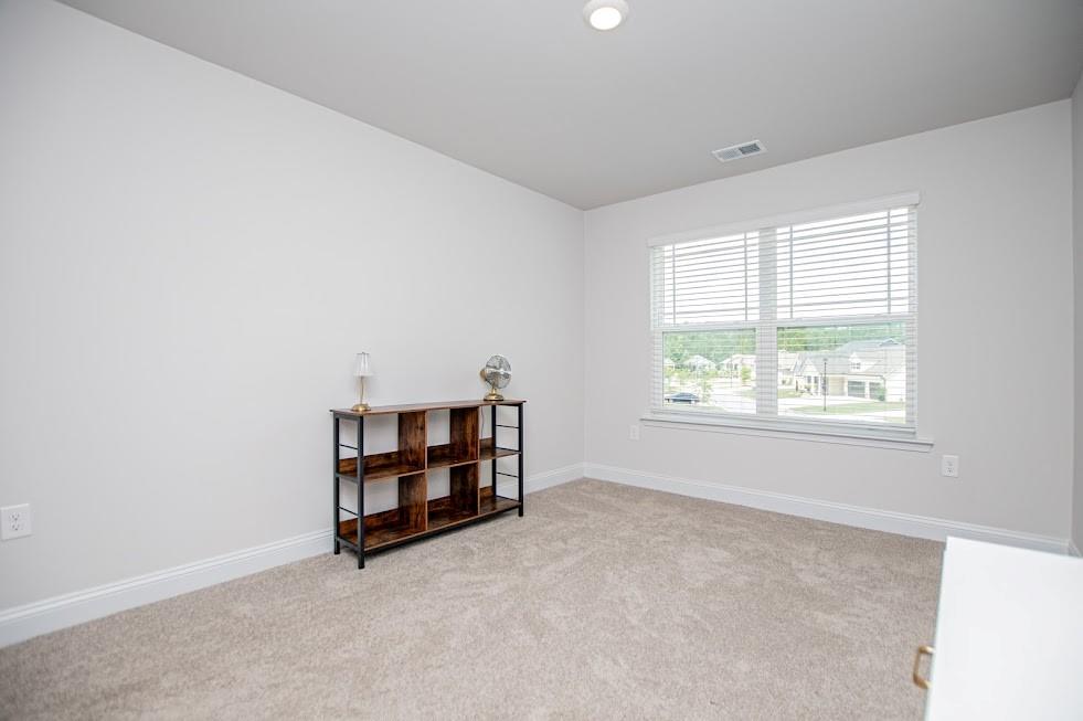205 Vineyard Walk Property Photo 41