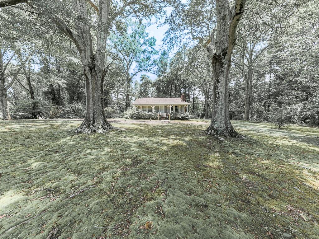368 Bart Manous Road Property Photo 28