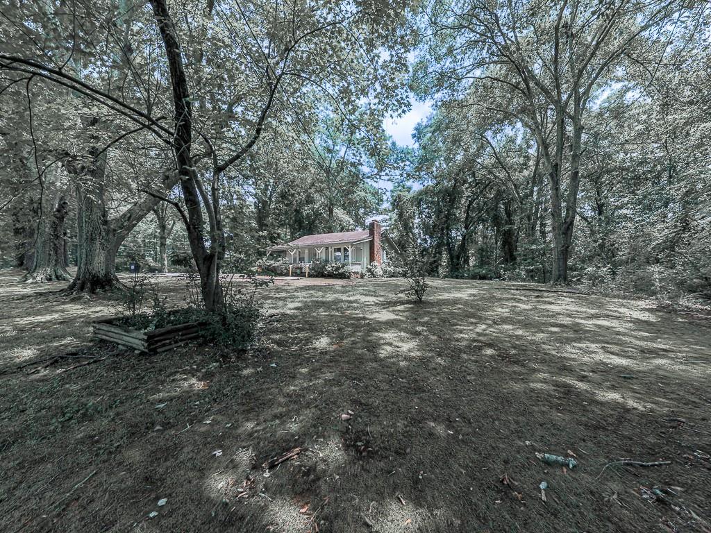 368 Bart Manous Road Property Photo 29