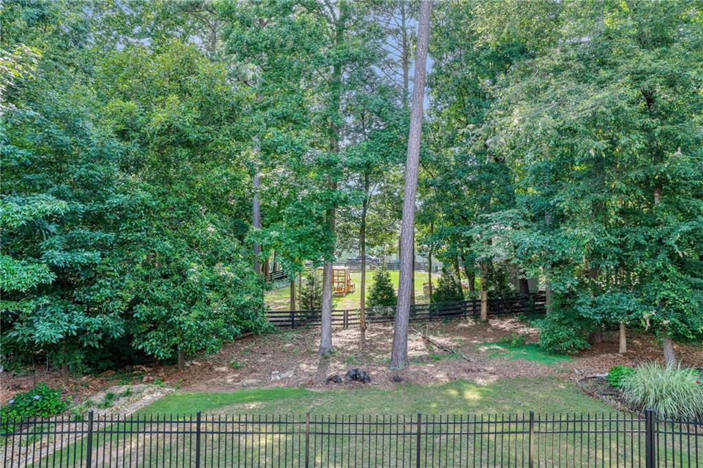 4415 Manor Creek Drive Property Photo 53