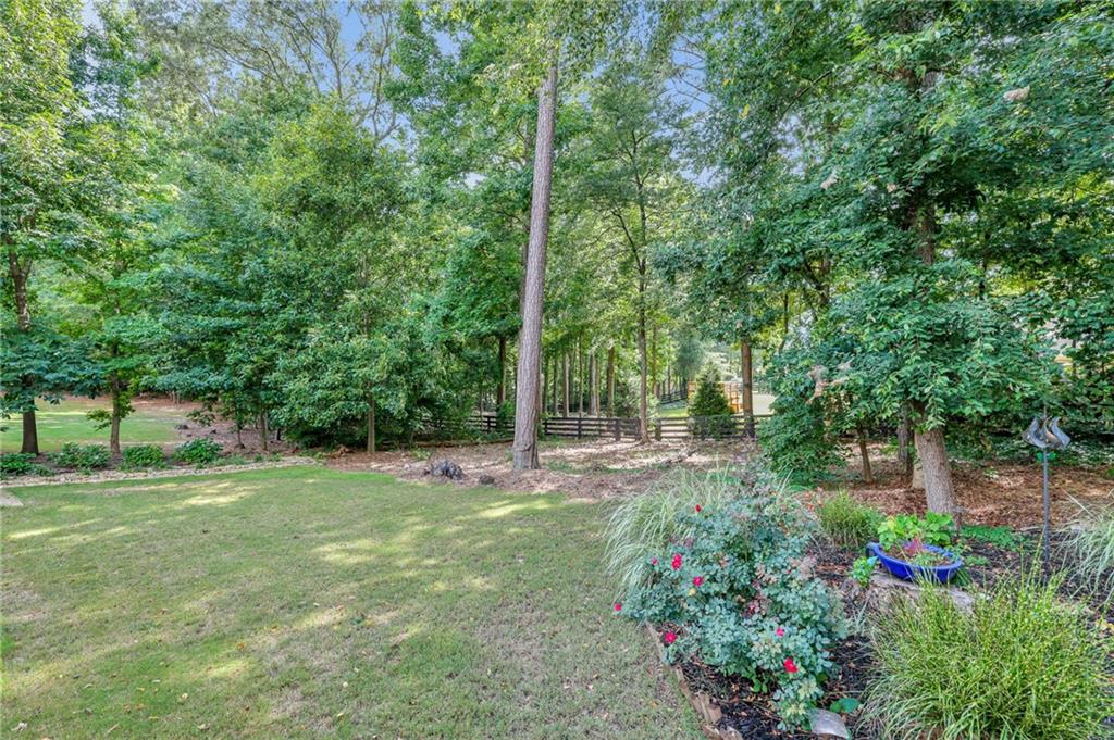 4415 Manor Creek Drive Property Photo 54