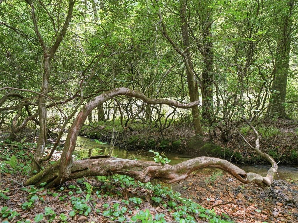 167 Mangums Trail Property Photo 47