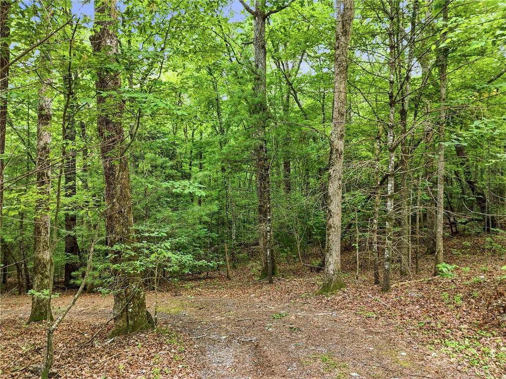 167 Mangums Trail Property Photo 52