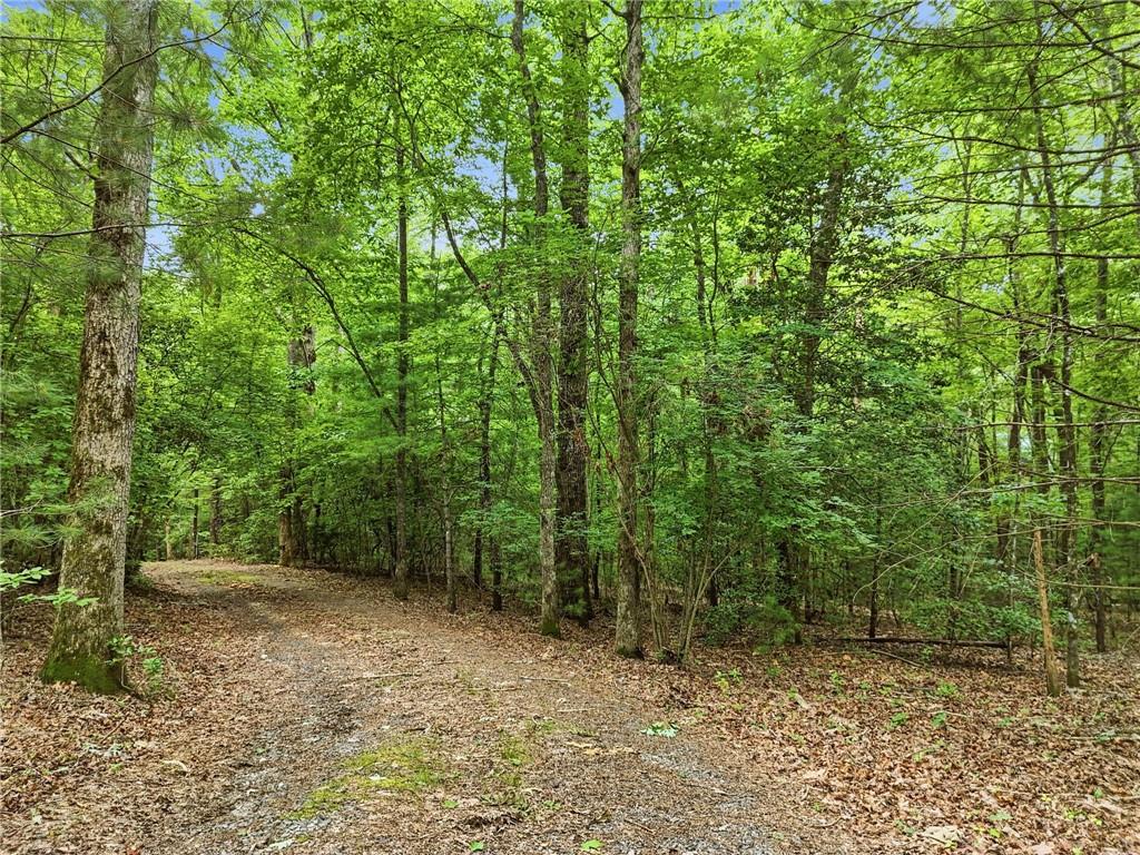 167 Mangums Trail Property Photo 53