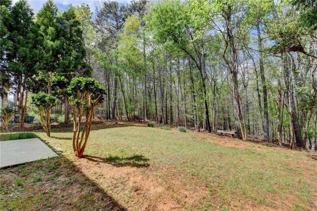 2163 Soque River Drive Property Photo 60