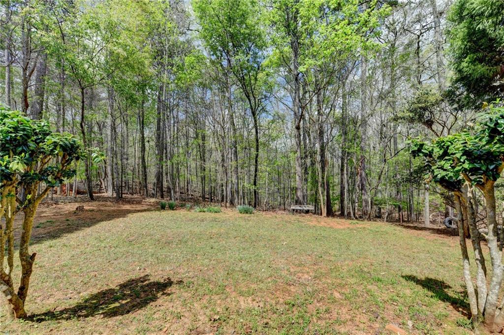2163 Soque River Drive Property Photo 61