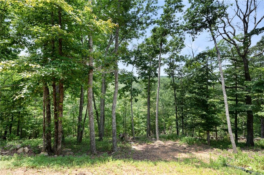 1390 Foxhound Trail Ne Property Photo 32