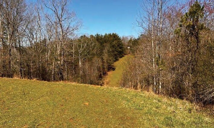 6390 Lula Road Property Photo 9