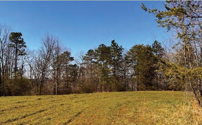 6390 Lula Road Property Photo 10
