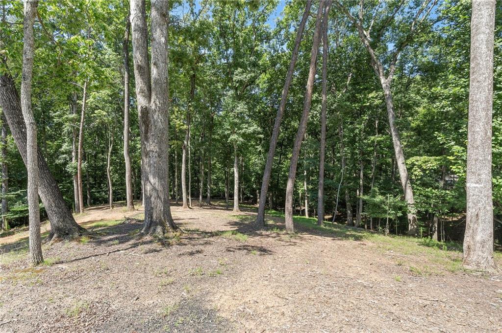 3394 Robinson Road Property Photo 59