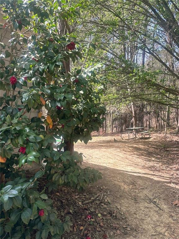 2072 Amberly Crossing Lane Property Photo 19