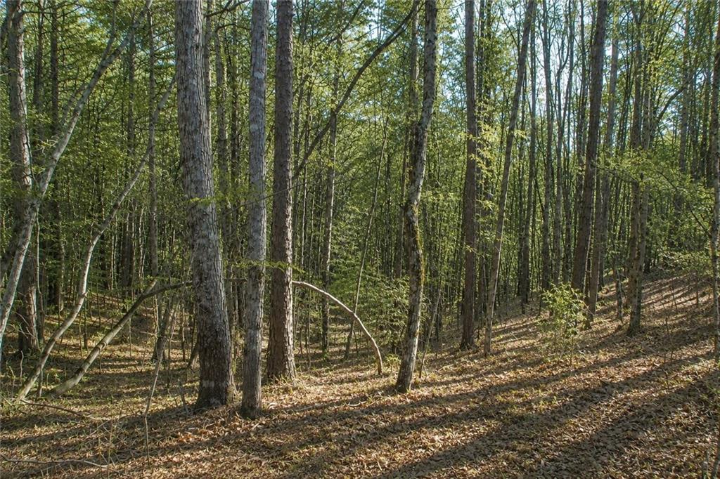 Lot 24 Waldrip Road Property Photo 1