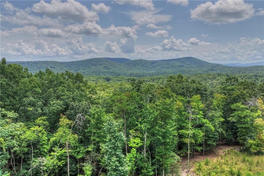 25 Boundless Trail Property Photo 3