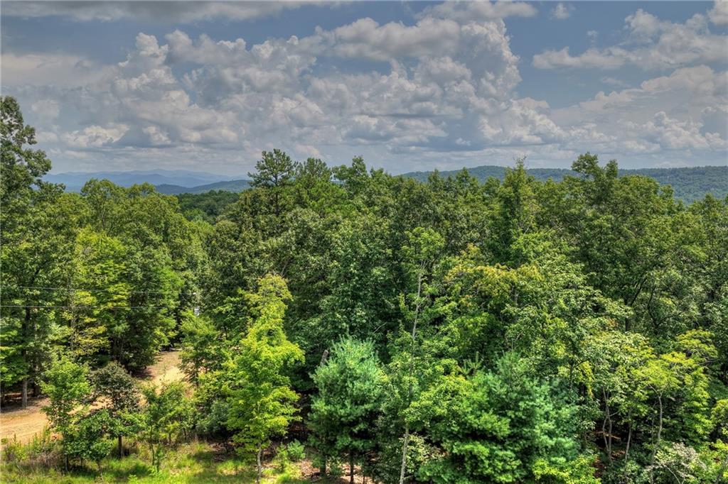 25 Boundless Trail Property Photo 57