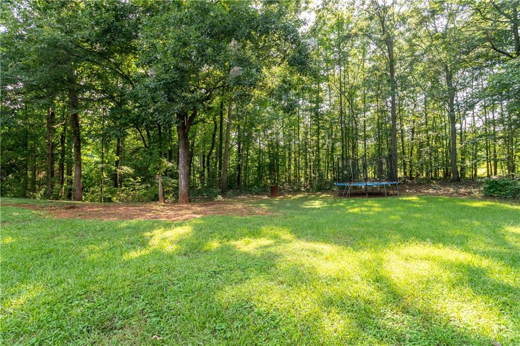 1537 Cardinal Lane Property Photo 5