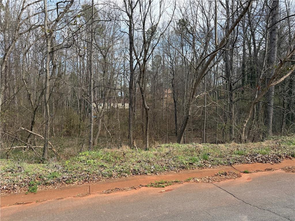 66 Red Top Circle Property Photo 3