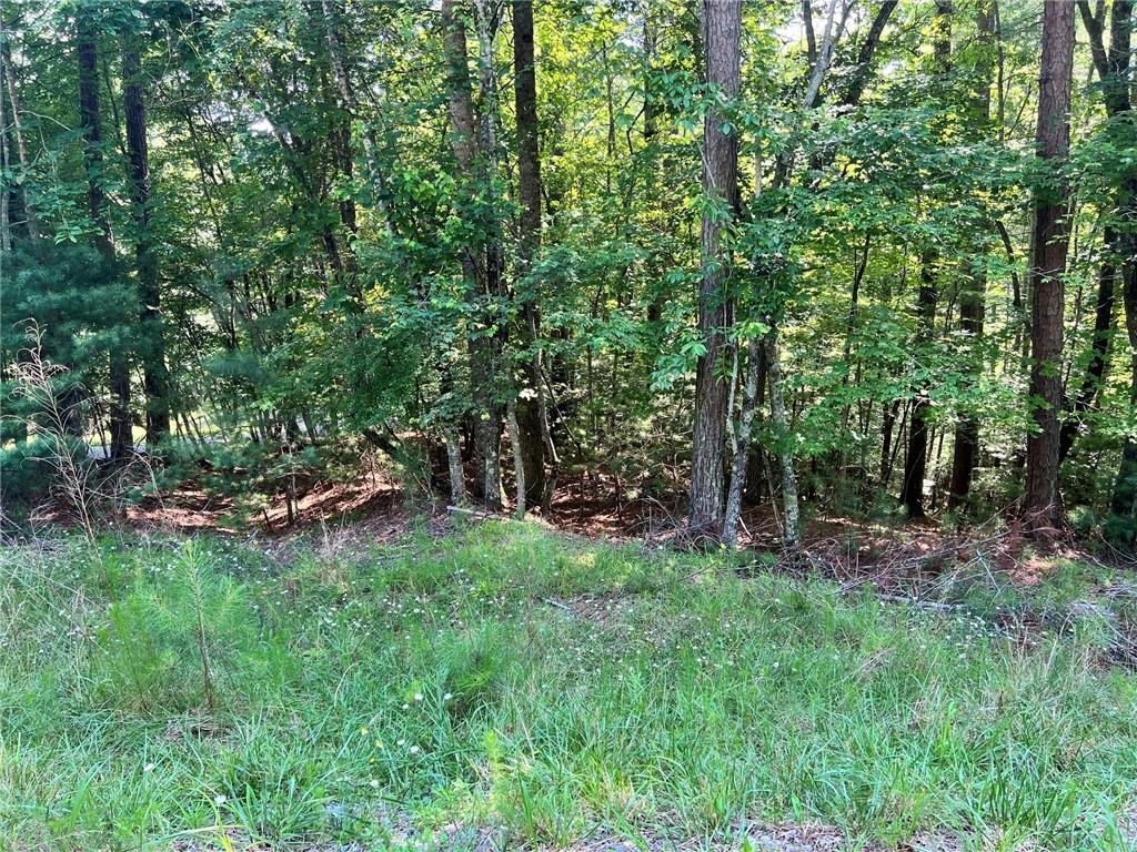 00 Alpine 3625 Drive Property Photo 1