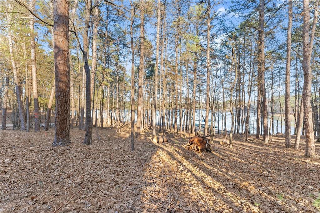 287 Spring Branch Circle Property Photo 46