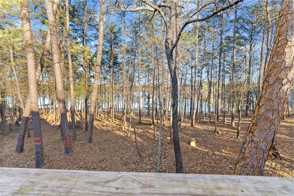 287 Spring Branch Circle Property Photo 47