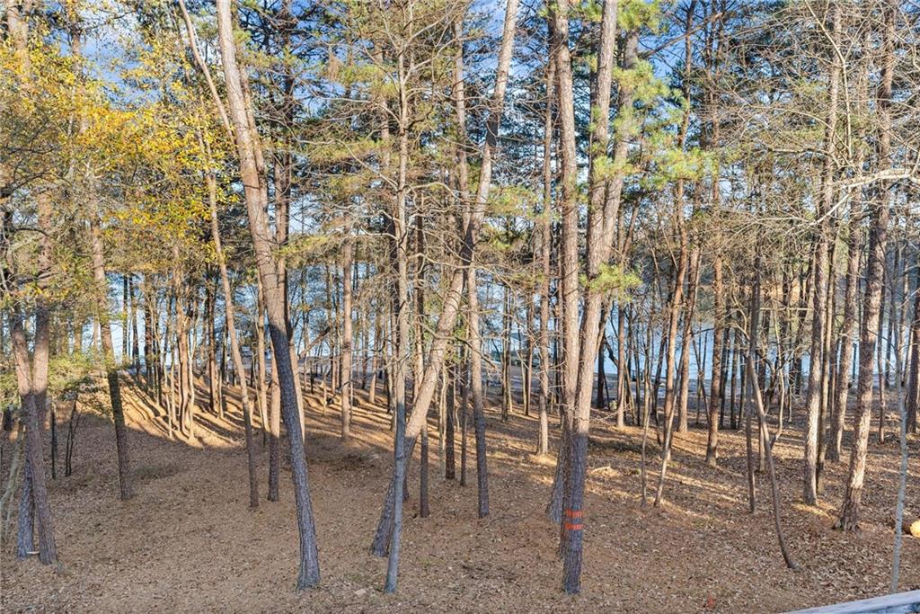 287 Spring Branch Circle Property Photo 50