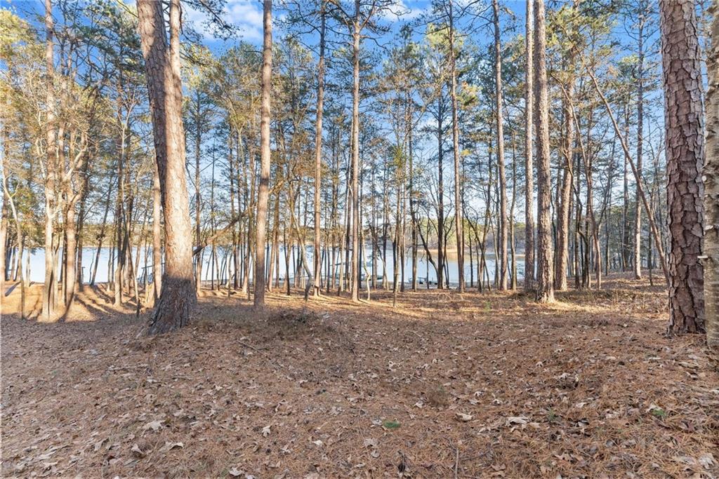 287 Spring Branch Circle Property Photo 53