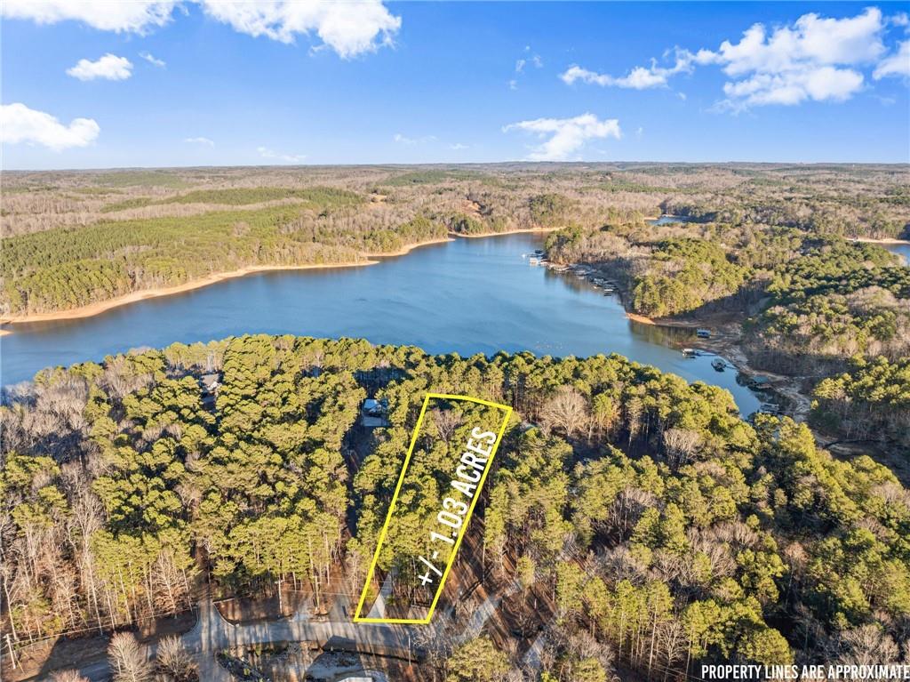 287 Spring Branch Circle Property Photo 67